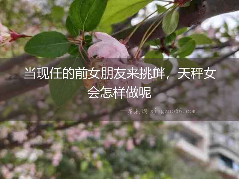 當現任的前女朋友來挑釁，天秤女會怎樣做呢
