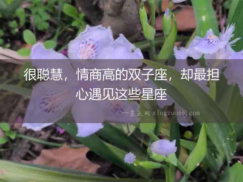 很聰慧，情商高的雙子座，卻最擔心遇見這些星座