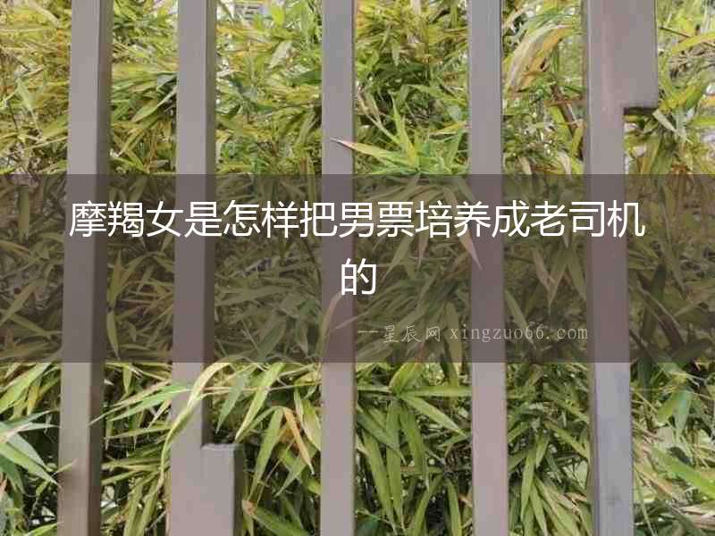 摩羯女是怎樣把男票培養成老司機的
