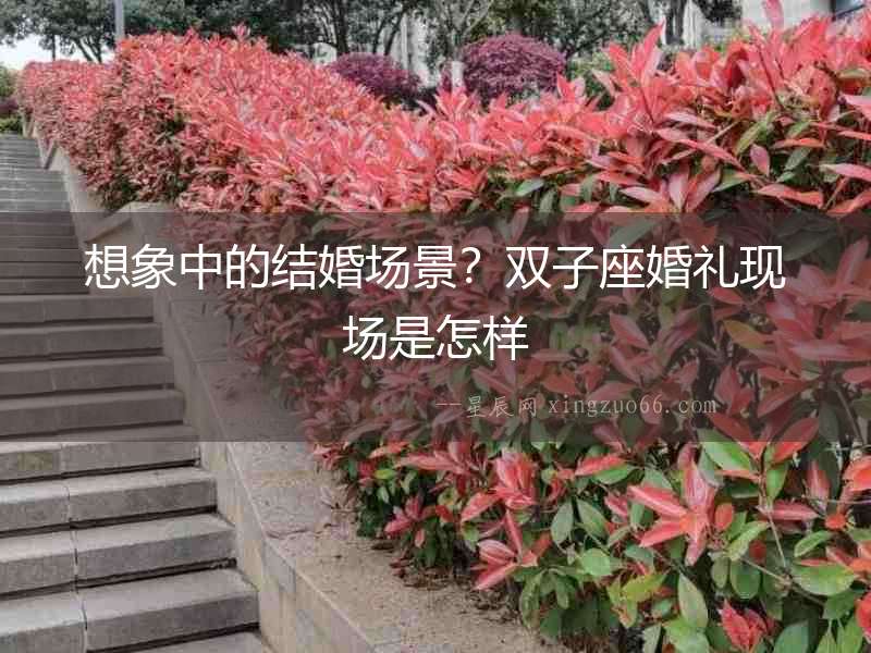 想象中的結婚場景？雙子座婚禮現場是怎樣