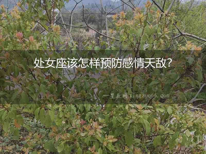 處女座該怎樣預防感情天敵？