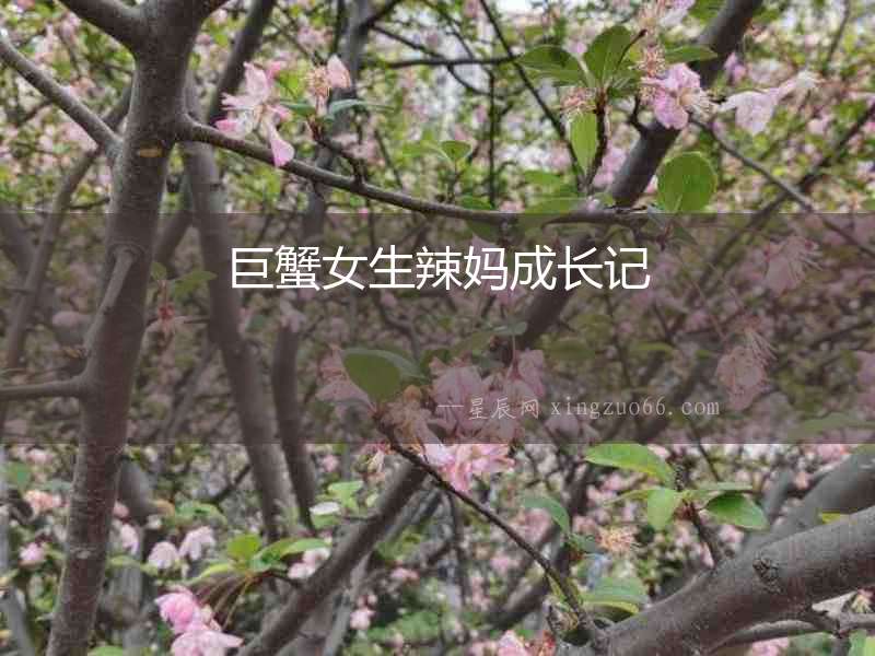 巨蟹女生辣媽成長(zhǎng)記