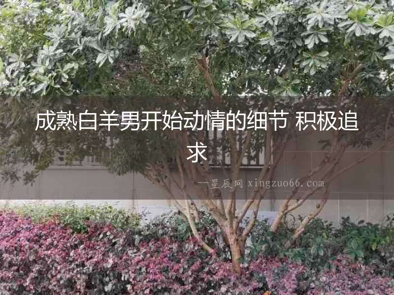 成熟白羊男開始動(dòng)情的細(xì)節(jié) 積極追求