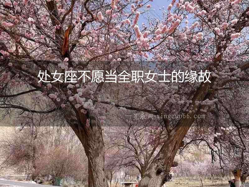 處女座不愿當(dāng)全職女士的緣故