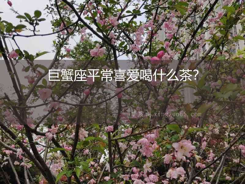 巨蟹座平常喜愛喝什么茶？
