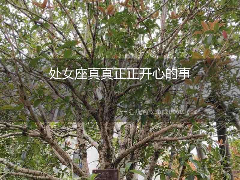 處女座真真正正開心的事