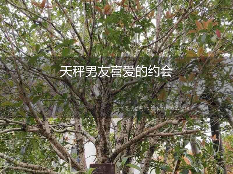 天秤男友喜愛的約會