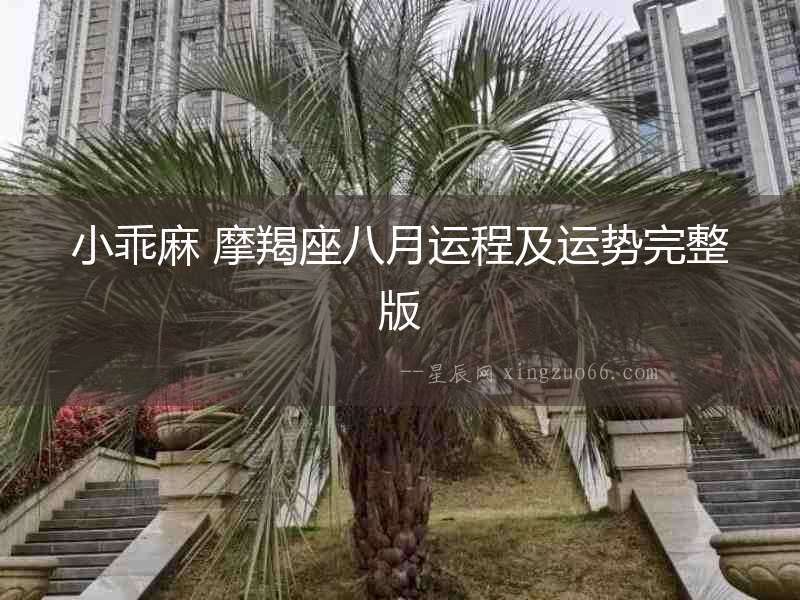小乖麻 摩羯座八月運程及運勢完整版