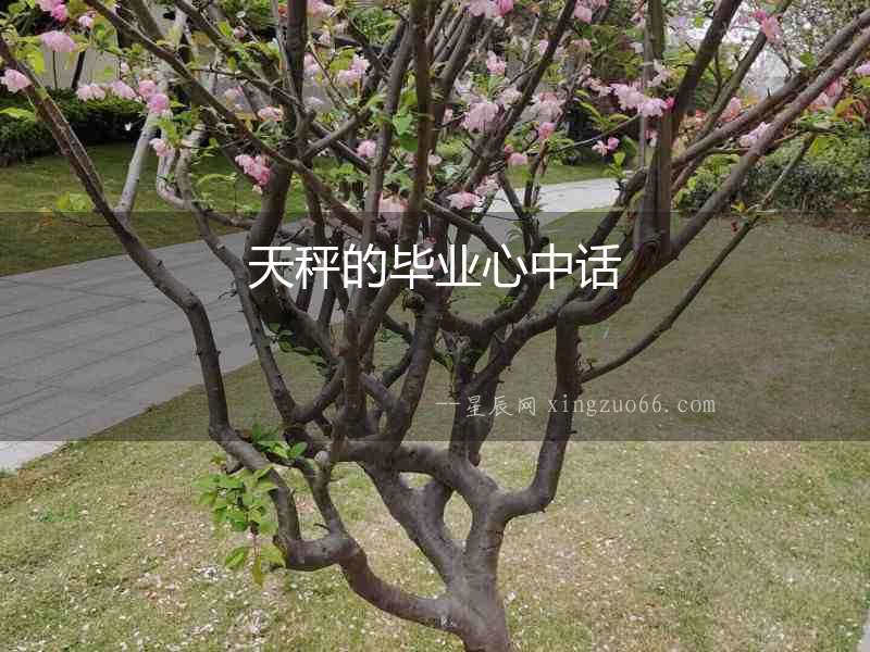 天秤的畢業心中話