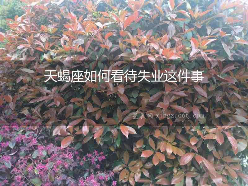 天蝎座如何看待失業這件事