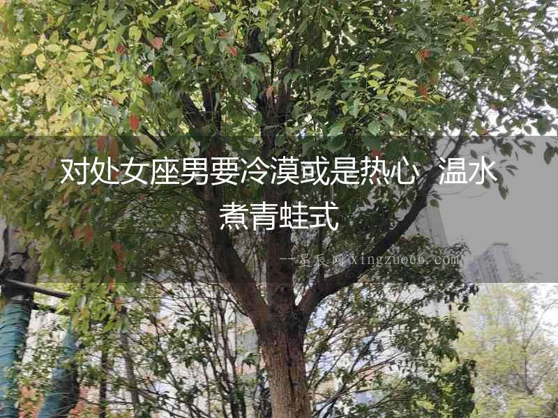 對處女座男要冷漠或是熱心  溫水煮青蛙式