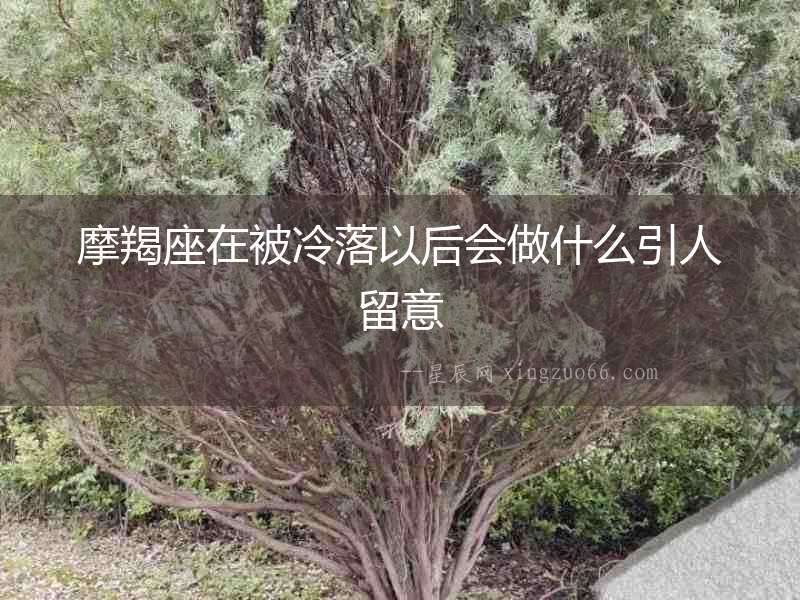 摩羯座在被冷落以后會做什么引人留意