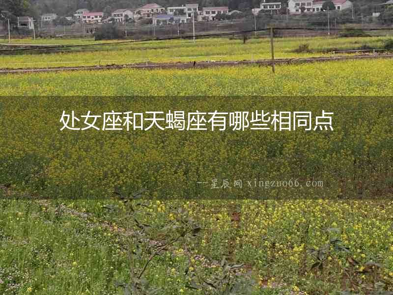 處女座和天蝎座有哪些相同點