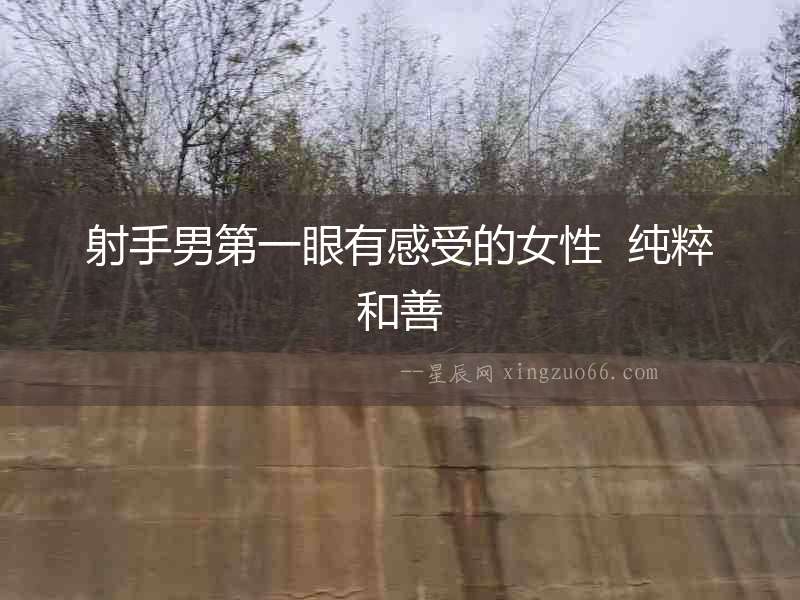 射手男第一眼有感受的女性  純粹和善