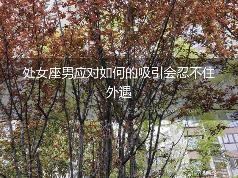 處女座男應對如何的吸引會忍不住外遇