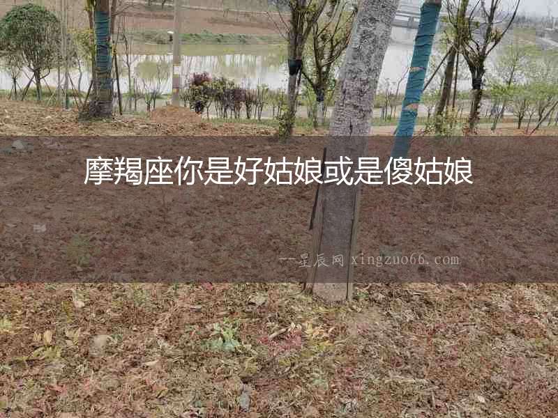 摩羯座你是好姑娘或是傻姑娘