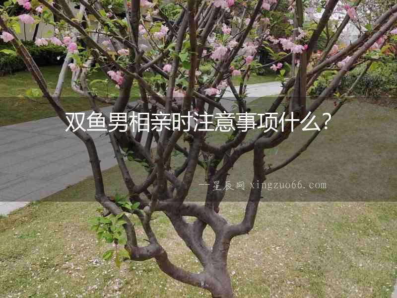 雙魚男相親時注意事項什么？