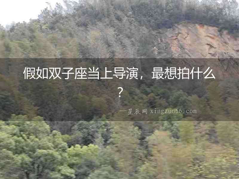 假如雙子座當上導演，最想拍什么？