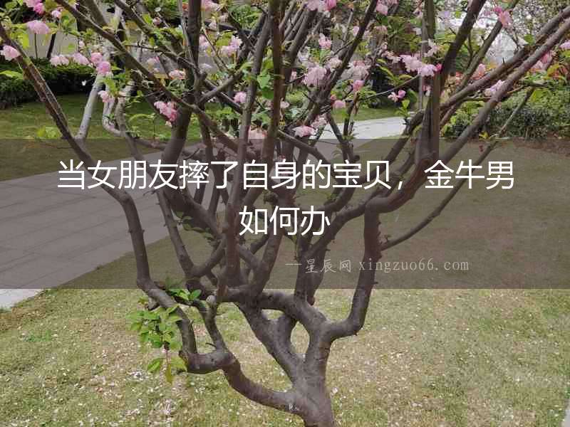 當(dāng)女朋友摔了自身的寶貝，金牛男如何辦