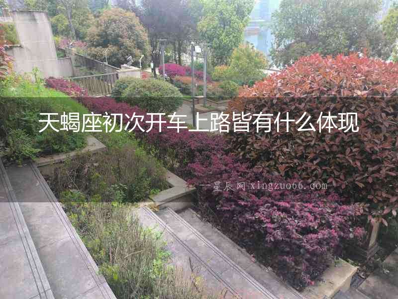 天蝎座初次開車上路皆有什么體現(xiàn)