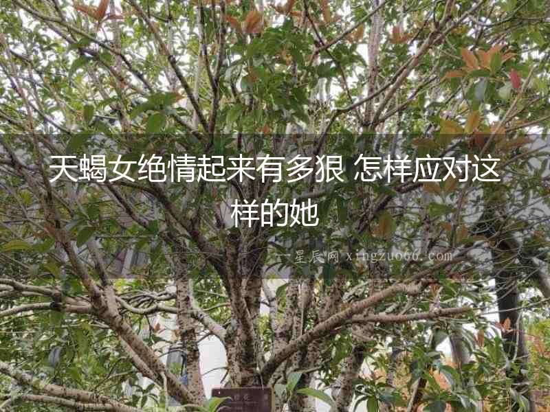 天蝎女絕情起來有多狠 怎樣應對這樣的她