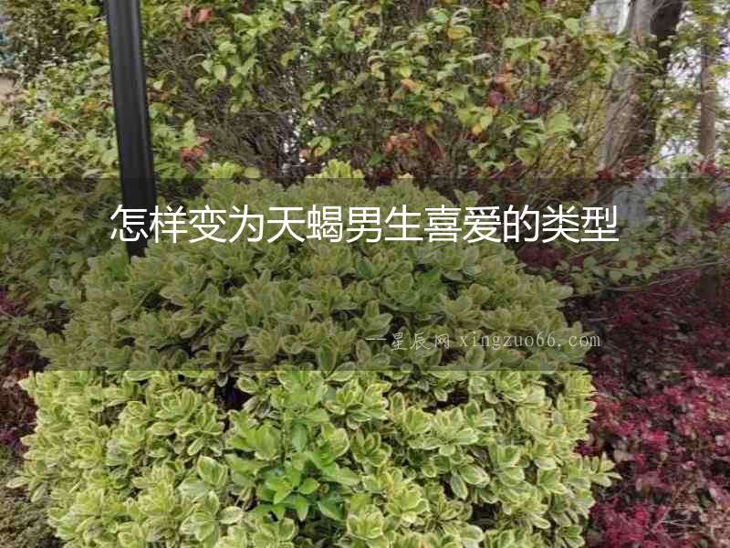怎樣變為天蝎男生喜愛的類型