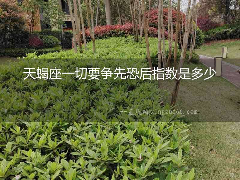 天蝎座一切要爭先恐后指數是多少