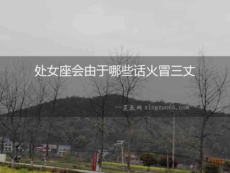 處女座會由于哪些話火冒三丈