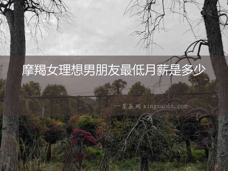 摩羯女理想男朋友最低月薪是多少