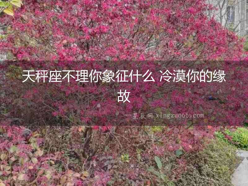 天秤座不理你象征什么 冷漠你的緣故