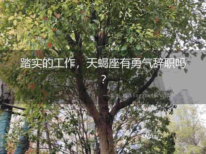 踏實的工作，天蝎座有勇氣辭職嗎？