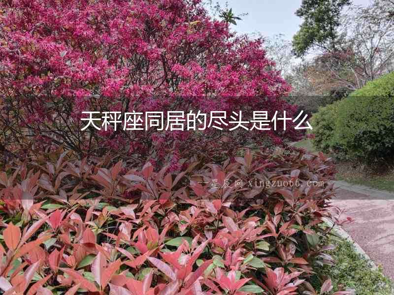 天秤座同居的盡頭是什么