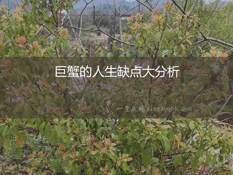 巨蟹的人生缺點大分析