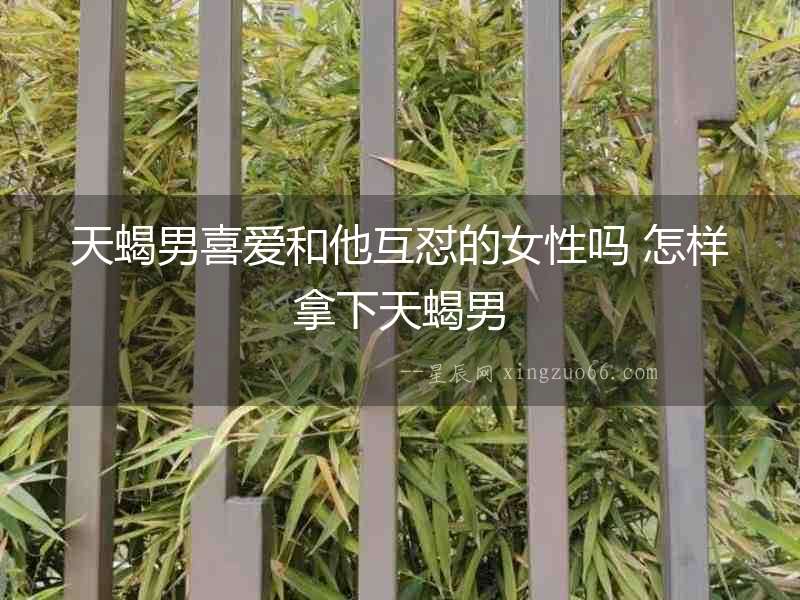 天蝎男喜愛和他互懟的女性嗎 怎樣拿下天蝎男