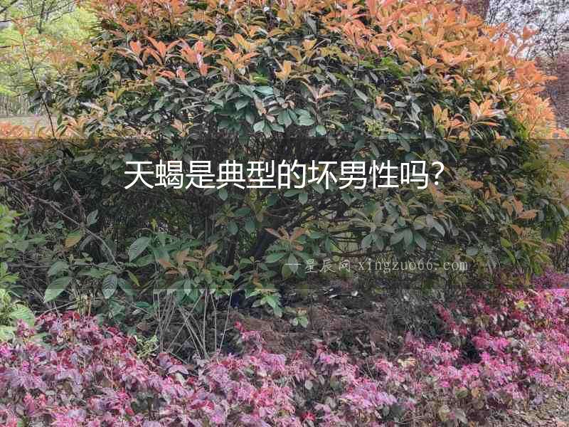 天蝎是典型的壞男性嗎？