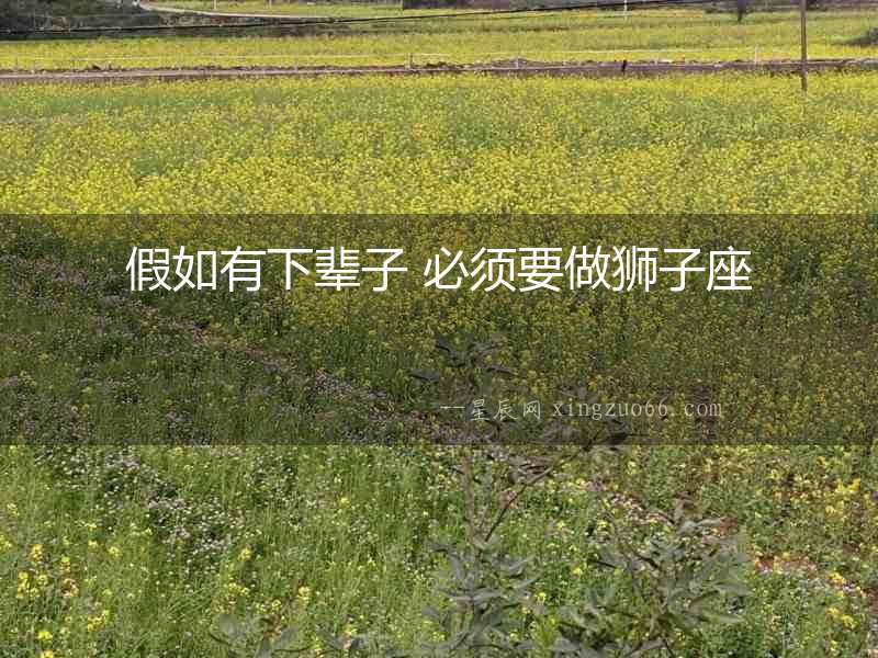 假如有下輩子 必須要做獅子座