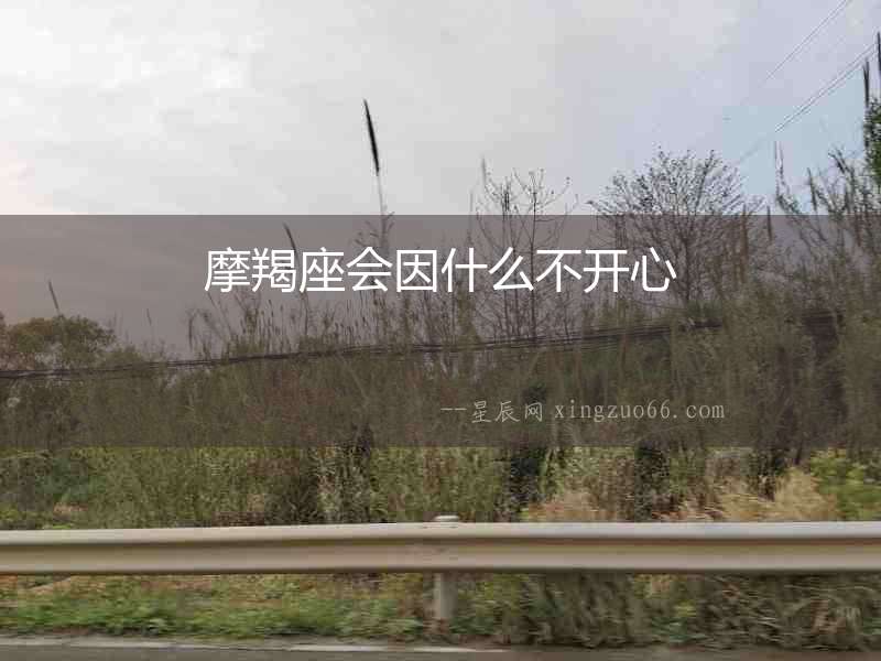 摩羯座會因什么不開心