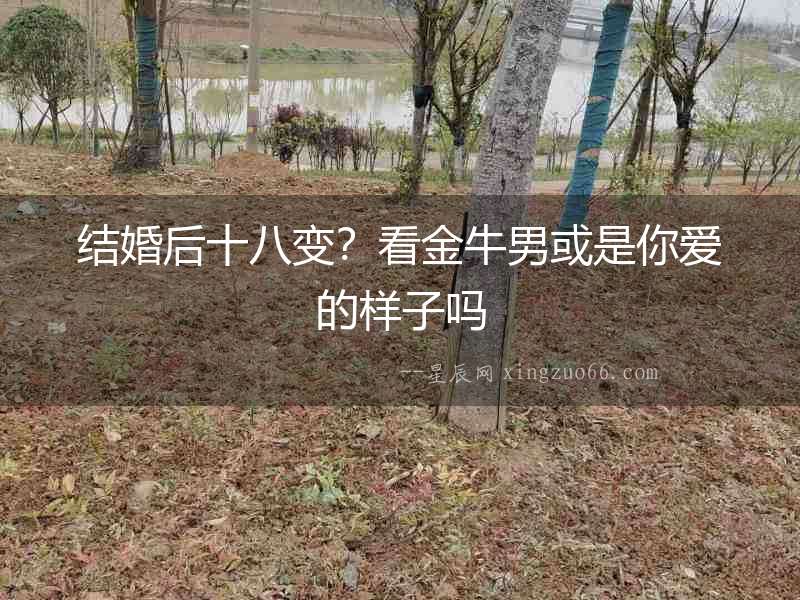 結婚后十八變？看金牛男或是你愛的樣子嗎