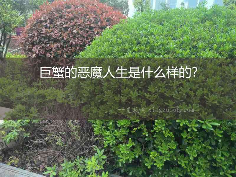 巨蟹的惡魔人生是什么樣的？