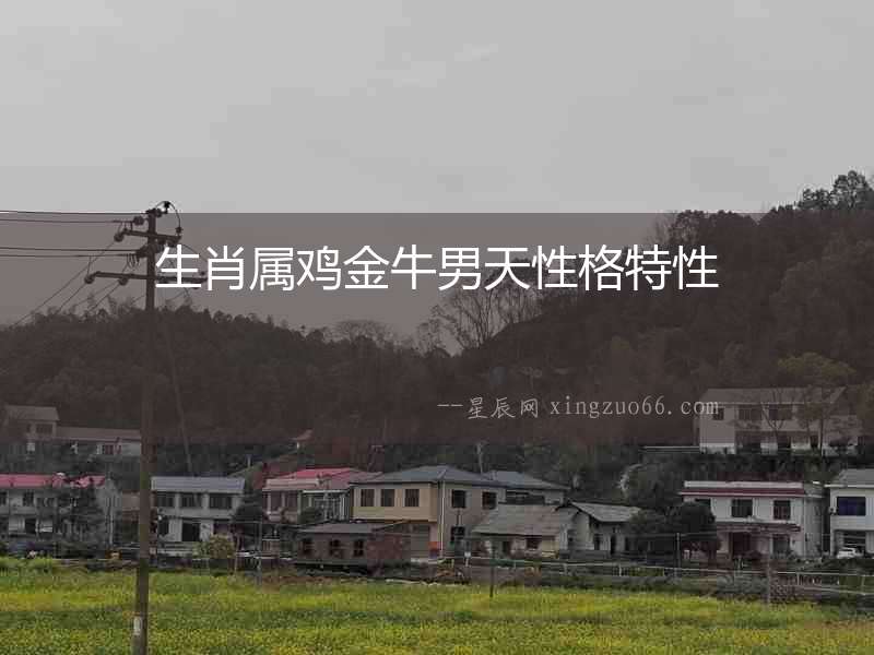 生肖屬雞金牛男天性格特性