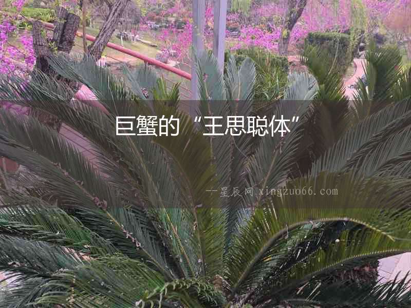 巨蟹的“王思聰體”