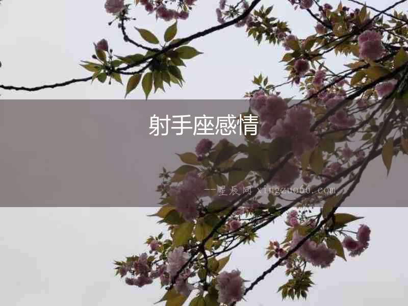 射手座感情