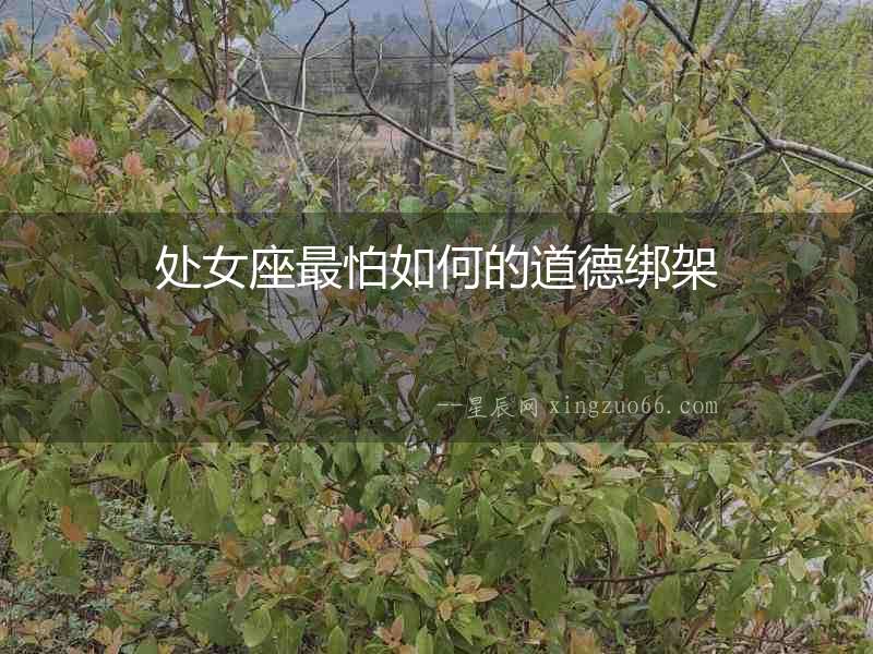 處女座最怕如何的道德綁架