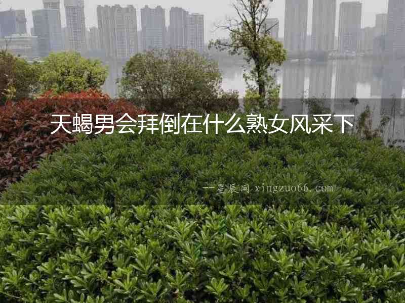 天蝎男會拜倒在什么熟女風采下