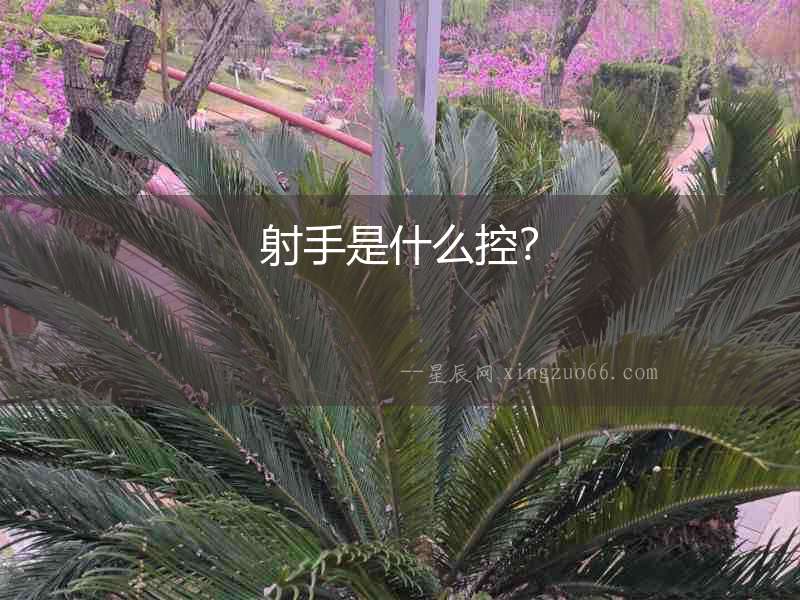 射手是什么控？