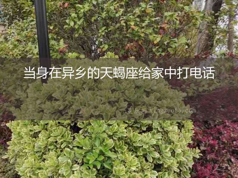 當身在異鄉的天蝎座給家中打電話