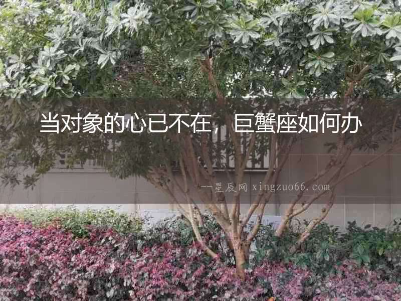 當對象的心已不在，巨蟹座如何辦