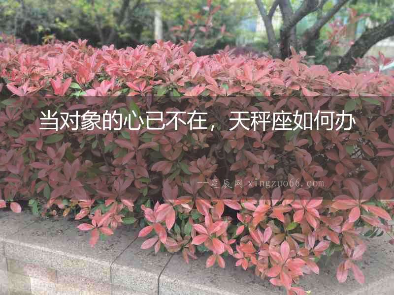 當對象的心已不在，天秤座如何辦