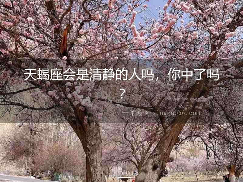 天蝎座會是清靜的人嗎，你中了嗎？