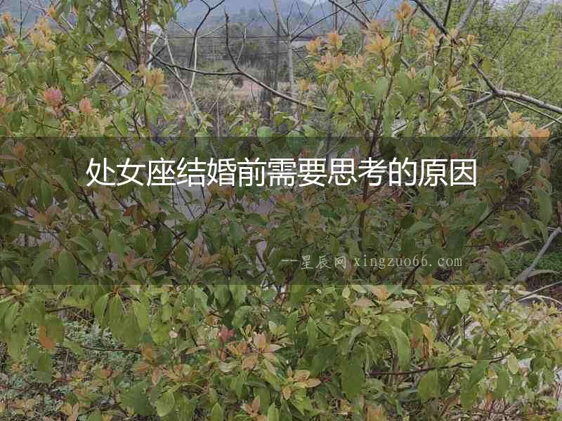 處女座結婚前需要思考的原因